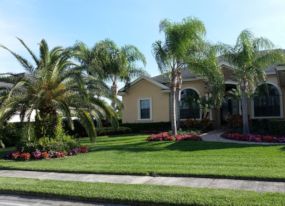 Landscaping Lakeland FL